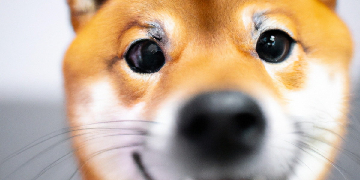 The Future of SHIBA INU: A Deep Dive into Predictions for 2025